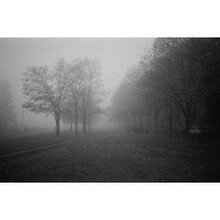 Даша, г. Санкт-Петербург