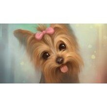 Ксения, г. Раменское