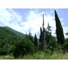 Галина, г. Кстово