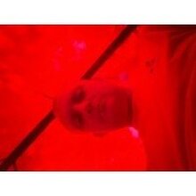 Ненавижукоррупционеров, г. Пенза