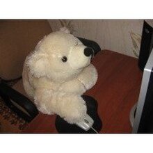 Ирина, г. Солнечногорск