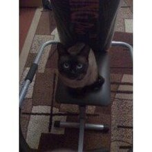 Наталья, г. Красноармейск