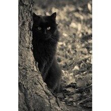 Анна, г. Томск