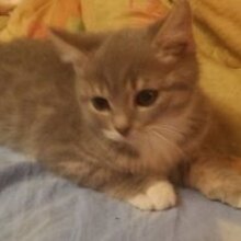 Vredina, г. Москва