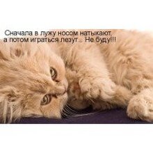 Гость 605472, г. Санкт-Петербург