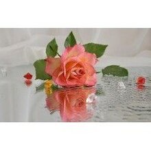 Наталья, г. Норильск