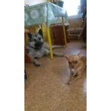 Юля, г. Березовский