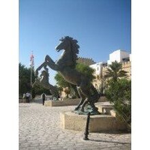 Любовь, г. Краснознаменск