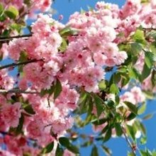 А, г. Москва