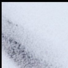 Ксения, г. Брест