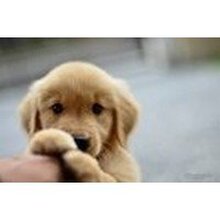 Татьяна, г. Москва