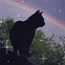 Лилия Сергеевна, г. Хабаровск