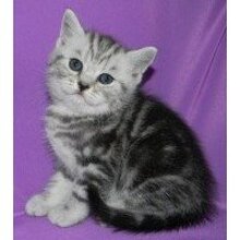 Наталья, г. Орск