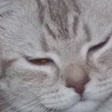 ЧЕРКАСОВА ТАТЬЯНА, г. Пенза