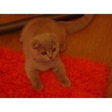 Катерина, г. Москва