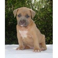 Евгения Викторовна, г. Североуральск