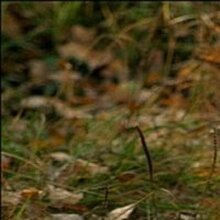 Александр, г. Тверь