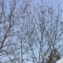 Ольга, г. Хабаровск