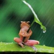 Stanislav, г. Москва