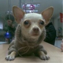 Александр, г. Бийск