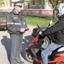 Ника, г. Славгород