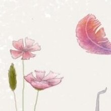 Светлана, г. Сочи