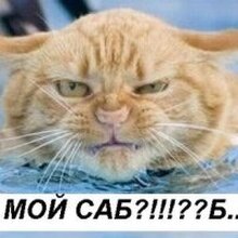 Роман, г. Ростов-на-Дону