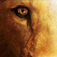 Настя, г. Алматы