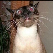 Сергей Юрьевич, г. Всеволожск