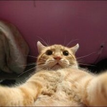 Светлана, г. Мончегорск