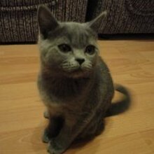 Иван, г. Санкт-Петербург