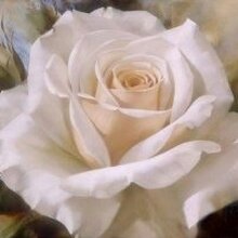 Наталия, г. Казань