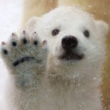 Вера, г. Москва