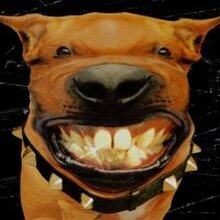 Сергей, г. Архангельск