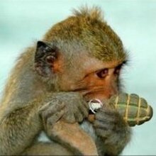 Владимир Вадимович, г. Челябинск