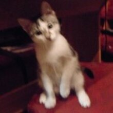 Иван, г. Петрозаводск