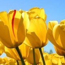 Екатерина, г. Москва