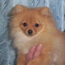 Александр, г. Кандалакша