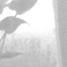 Александра, г. Любань