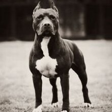 Анатолий, г. Екатеринбург