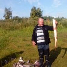 Андрей владимирович, г. Череповец