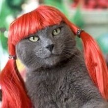 Oleg, г. Москва