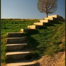 Владимир, г. Москва