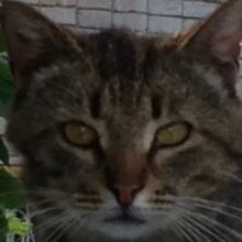 Дмитрий, г. Калуга