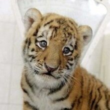 Игорь, г. Пермь