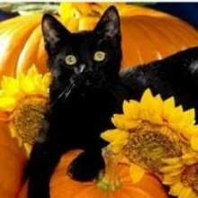 Ирина Викторовна, г. Москва