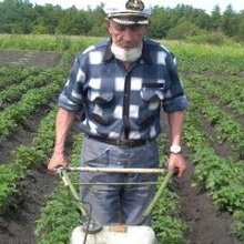 Powar, г. Курск