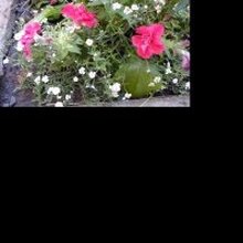 Марина, г. Сорочинск