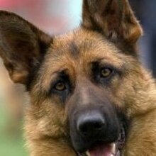 Светлана, г. Самара