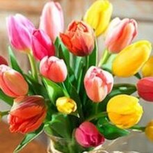 Виктория, г. Гулькевичи